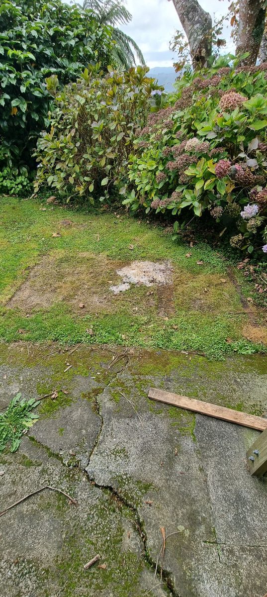 Lawn area showing drainage work site after maintenance